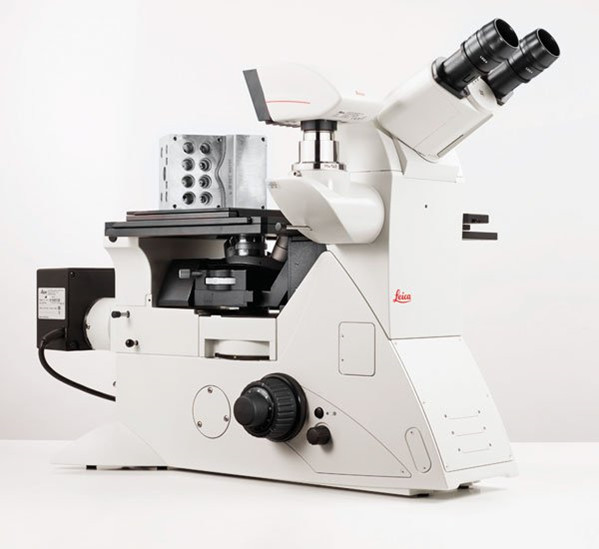 Leica DMi8  C.jpg
