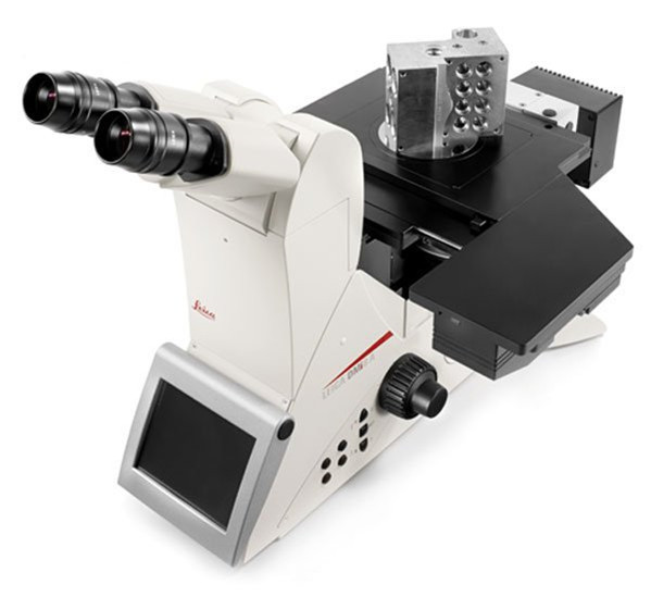 Leica DMi8 A.jpg